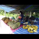 Die Durian, die wir hier essen wollten, war leider noch nicht reif genug